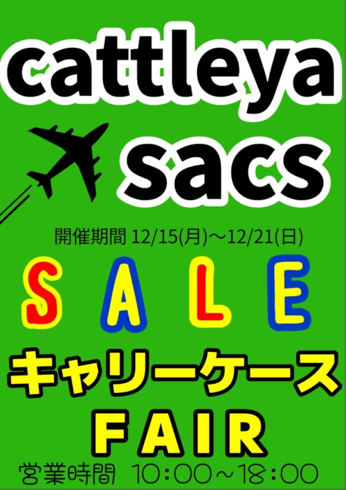 キャリーケースFAIR